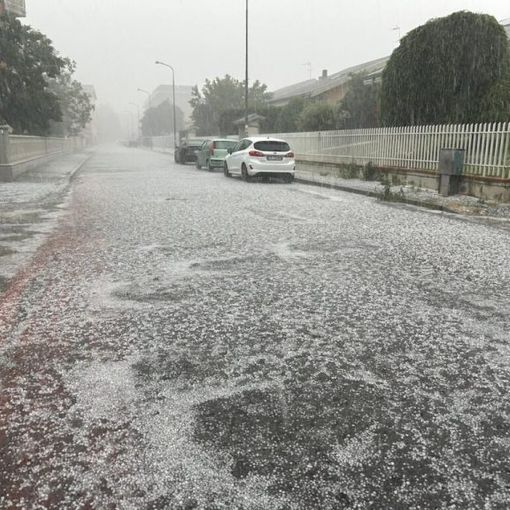 Novarese: donna colpita da albero. Grandine nell’Alessandrino