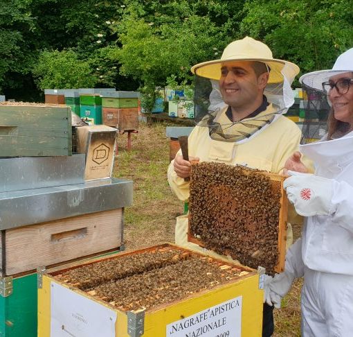Alessandro, apicoltore al centro Geraci nel Parco del Ticino: “Le api sono vita, ci indicano lo stato di salute del territorio in cui viviamo”