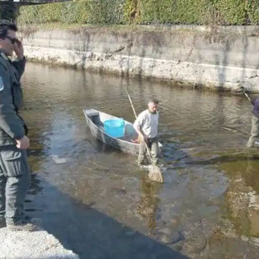 Con i Navigli in Asciutta iniziano i lavori mentre si recupera la fauna ittica