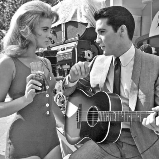Elvis, il Re è vivo.. Il 31 dicembre a Pavia il suo musical al Fraschini di Pavia