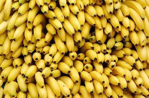 Livorno, maxi sequestro: 208 chili di coca in container.. di banane