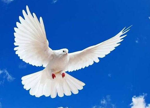 Lettere al Direttore: poesia Pasqua 2021, di Francesco Lena