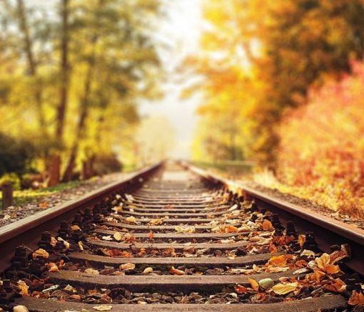 Tragedia sui binari a Vittuone: linea ferroviaria Milano – Novara bloccata