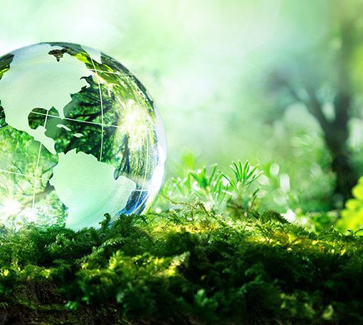 Racconti di biodiversità: il 4 ottobre a Pavia la giornata-evento