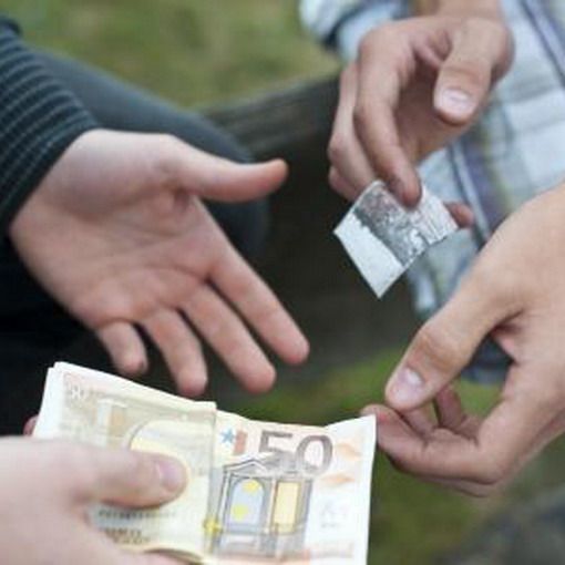 Spaccio nei boschi del Novarese: 9 misure cautelari, 4 in carcere di cui uno a Vigevano