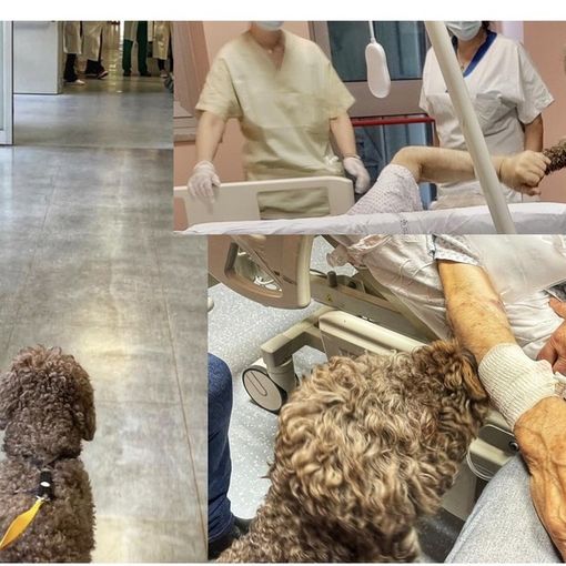 foto dalla pagina Facebook dell'Asst Nord Milano
