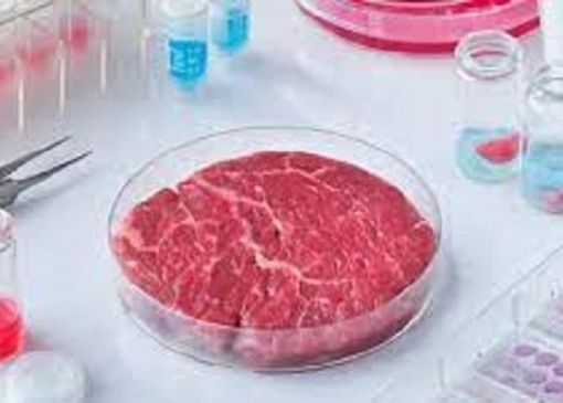 Fao: Coldiretti, da allergie a cancro i rischi del “cibo sintetico”