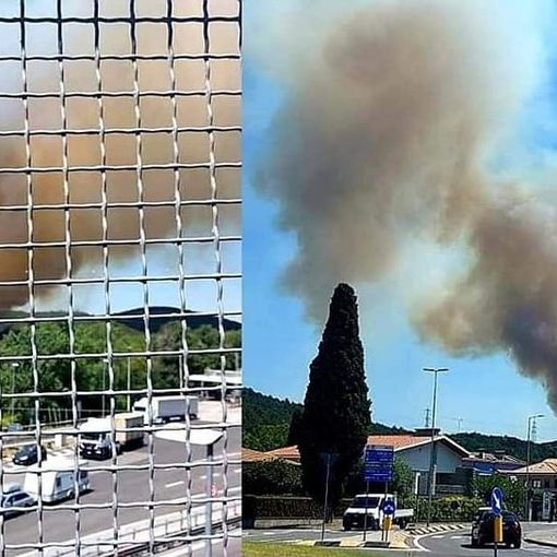 Le foto della Protezione civile