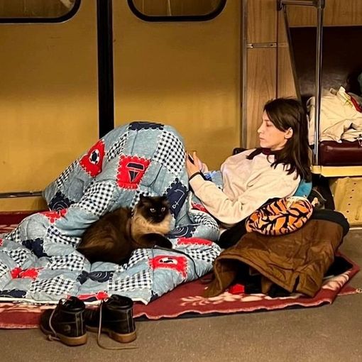 FOTO. Le immagini da Kiev che raccontano di chi resiste insieme ai suoi animali