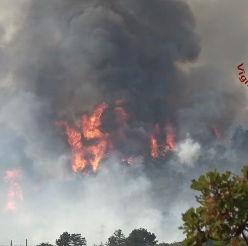 Vigili del fuoco in azione senza sosta: sul Carso roghi non ancora sotto controllo