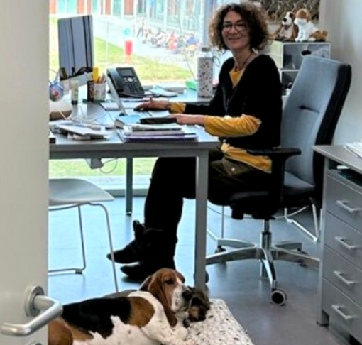 Col cane in ufficio: succede all’Università Statale di Lodi