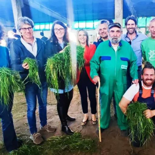 Marcite a Ozzero: un grande successo per l’evento organizzato dal Parco Ticino assieme a tanti e importanti partner