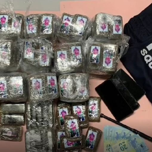 Maxi operazione antidroga: smantellata una rete di spaccio a Novara e provincia