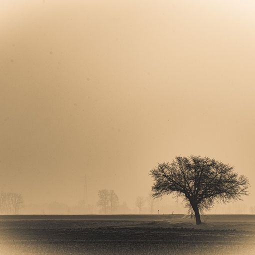 Foto: Maurizio Denti Pompiani