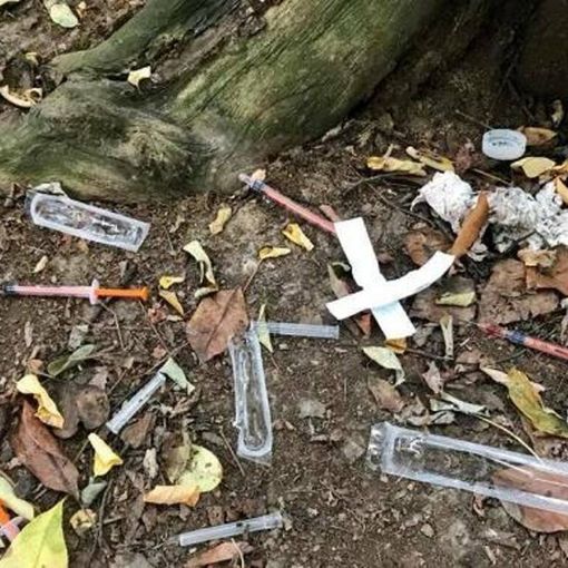 Spaccio nel Parco delle Groane, maxi operazione dei carabinieri: 24 arresti tra marocchini, albanesi e italiani