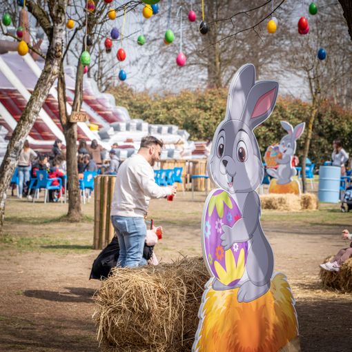 Festa del Cioccolato al Villaggio delle Uova Pura Vida Farm. Appuntamento con il cibo degli dei ma non solo…