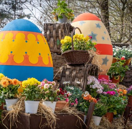 Al via la seconda edizione del Villaggio delle Uova al Puravida Farm di San Martino Siccomario