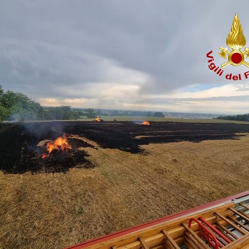Broni: incendio di sterpaglie in un campo di frumento, intervengono i Vigili del fuoco