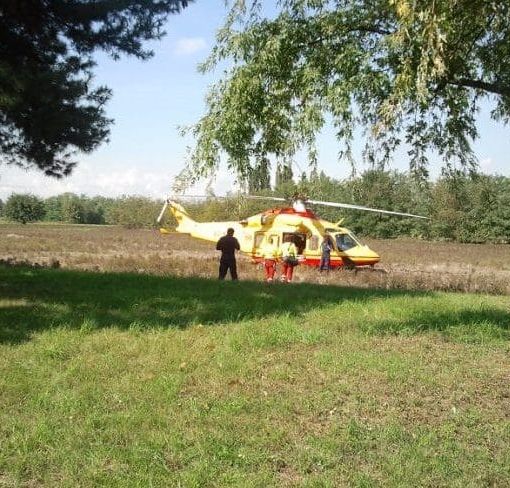 Abbiategrasso: caricato da un toro, 32enne elitrasportato al Niguarda in condizioni critiche