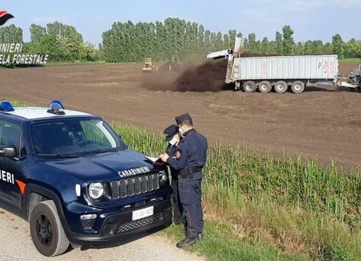 Carabinieri Forestali: l’attività svolta in Lombardia nel 2021