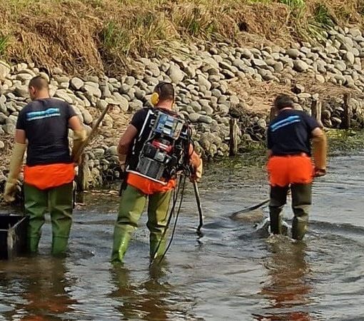 Ambiente. Pavia: prosegue la tutela della fauna ittica
