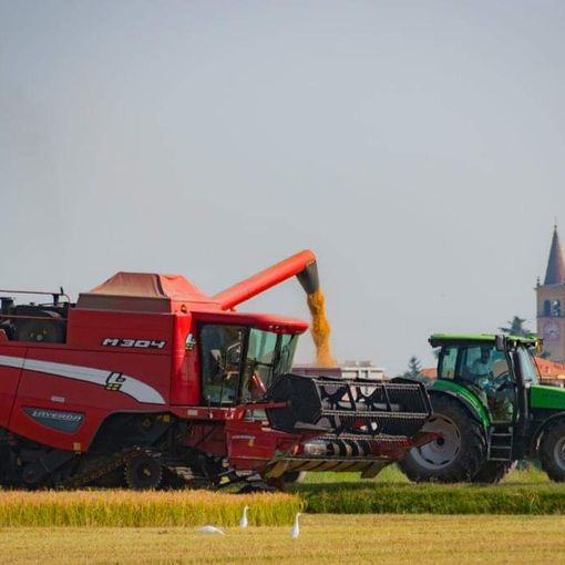 Fiera agricola e artigiana di Trecate: ancora pochi giorni per le adesioni