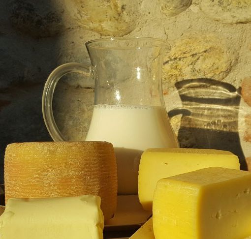 AAA, il Parco Ticino cerca caseifici per la produzione di &quot;formaggio giallo&quot;