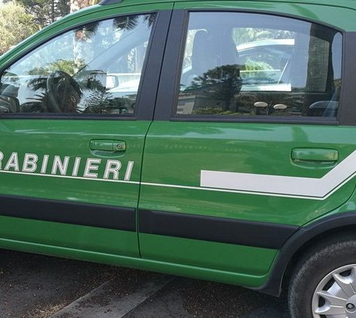 Furti e ricettazione nei centri rifiuti: undici indagati nel novarese