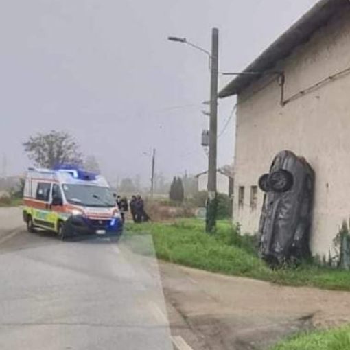 foto tratta dal canale Whatsapp L24