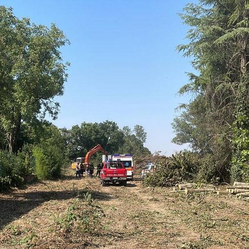 foto tratte dalla pagina Facebook  &quot;L24 Osservatorio Strade Pavia e provincia&quot;