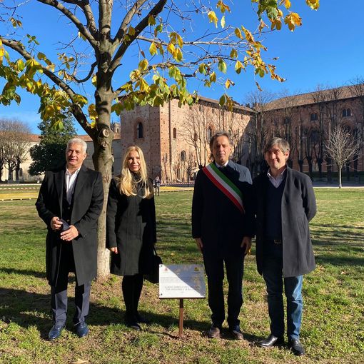 L’albero dei ricordi della Bulgaria a Vigevano