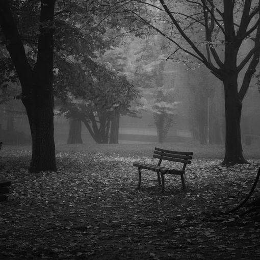 Ph. Maurizio Denti Pompiani