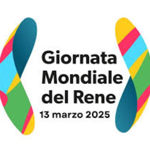 Pavia, giornata mondiale del rene 2025: al San Matteo screening gratuiti per la salute renale