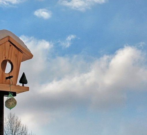 Domani qualche goccia, poi dominio di sole e vento: quando arriverà l'inverno?