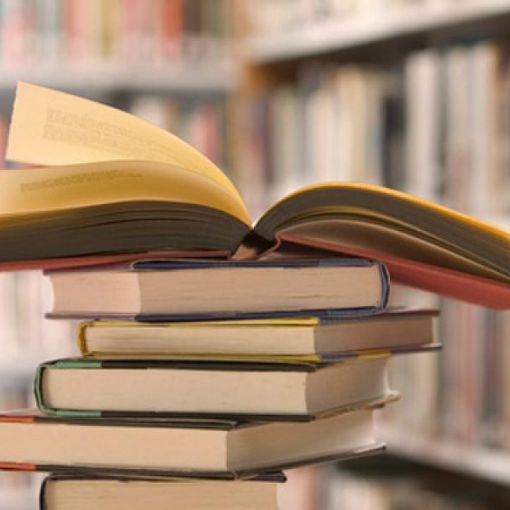 Vigevano: al via le iscrizioni per il concorso &quot;Librivoro 2024&quot;