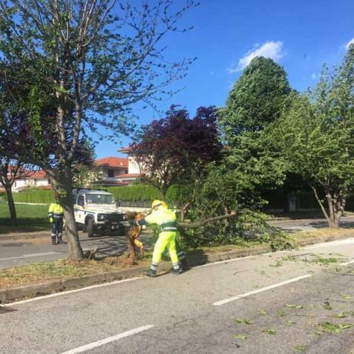 Allerta vento forte in Lombardia