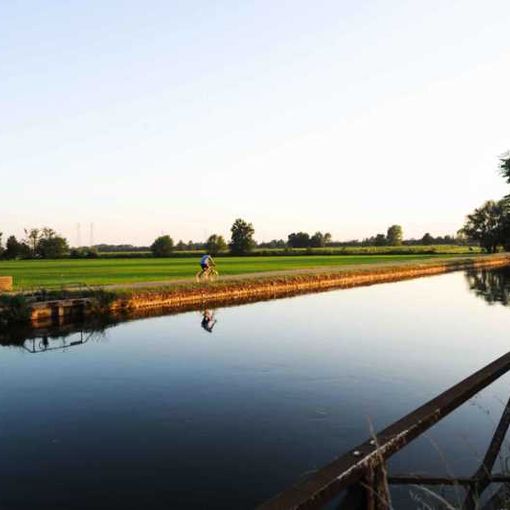 Parco Sud, via libera da Regione Lombardia alla riforma