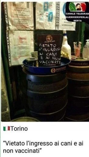 &quot;Vietato l'ingresso ai cani e ai non vaccinati&quot;: bufera su un pub torinese. &quot;Qui ci vogliono le molotov&quot;