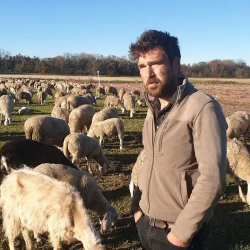 LA STORIA. Morgan e la sua vita da pastore, tra gli alpeggi e la pianura del Magentino: “Non cambierei il mio lavoro per niente al mondo”