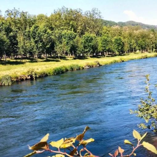 Nel Novarese cede argine di un fiume