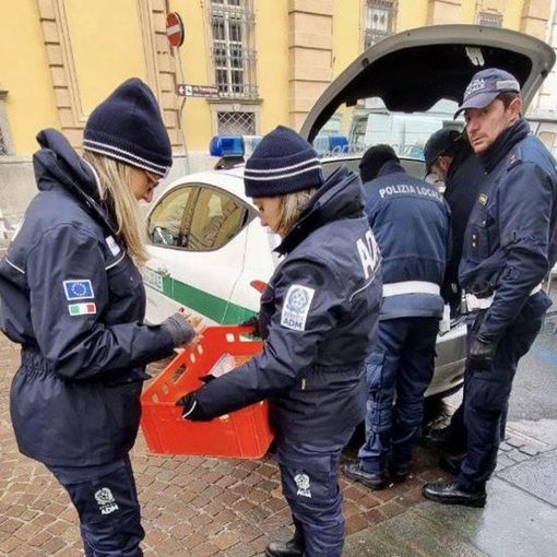 Vercelli: materiale elettrico, giocattoli, cosmetici nocivi, sequestro al mercato e in un negozio etnico