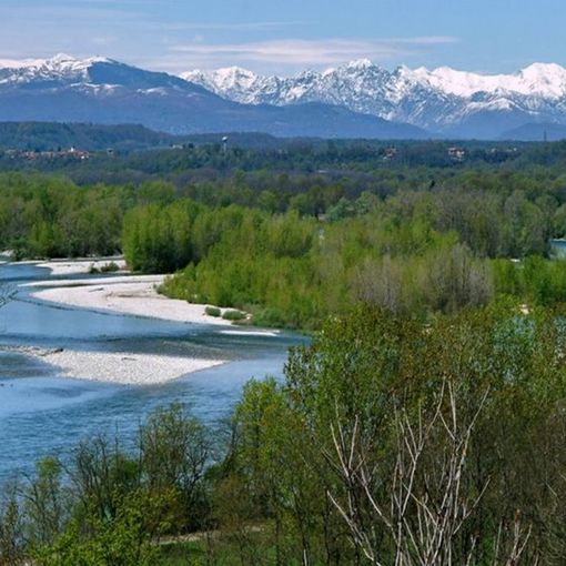 Insieme per pulire il Parco del Ticino