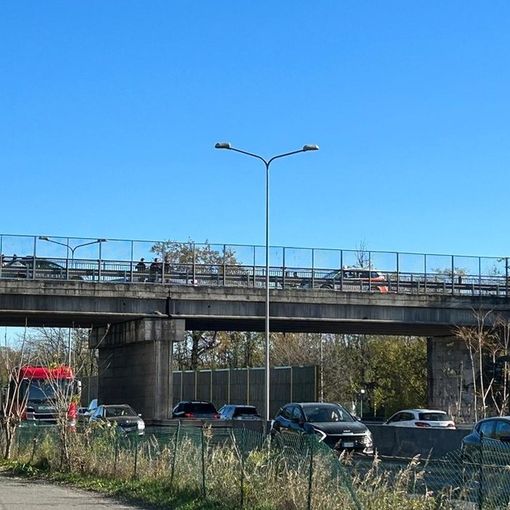 Gallarate: minaccia di gettarsi dal ponte sopra la 336. Salvato dalla Polizia