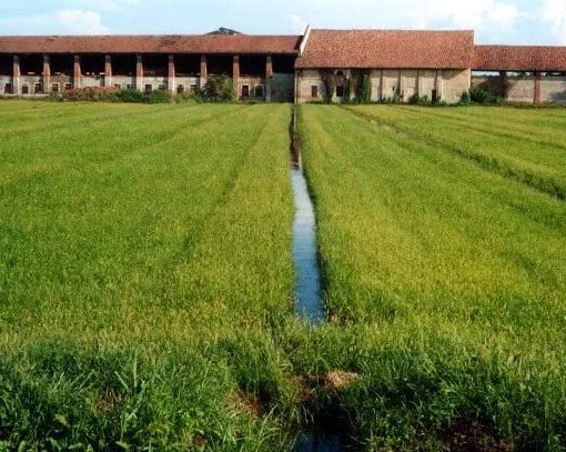Parco Agricolo Sud Milano: accesso vietato alle aree naturalistiche in caso di allerte meteo