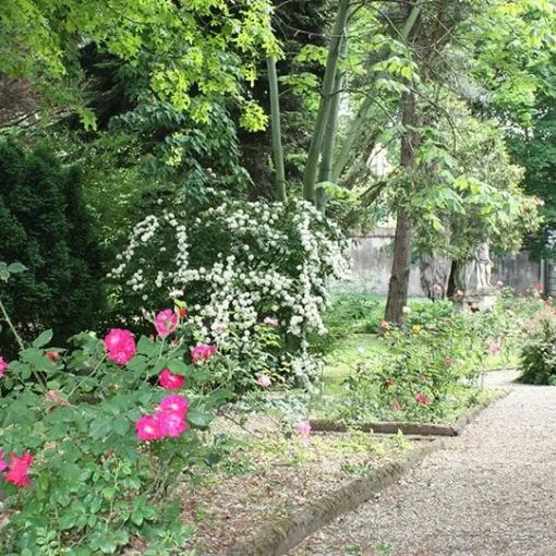 Nell’Orto Botanico di Pavia gli antichi saperi si tramutano in nuove pratiche
