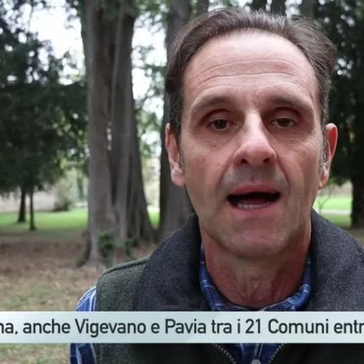 Peste suina, decine di Comuni del Parco Ticino in zona rossa