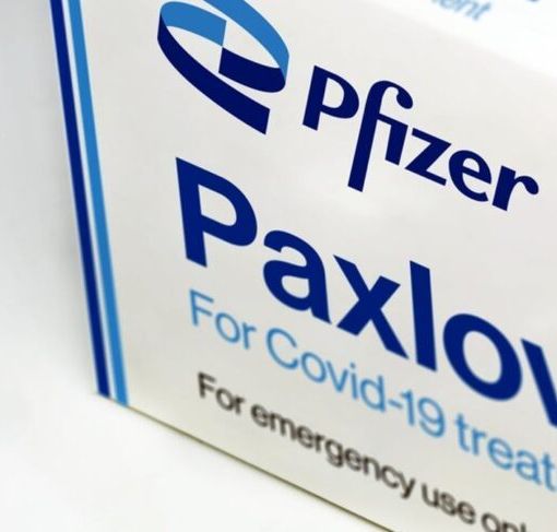 Arriva in Europa (e in Italia) la pillola anti Covid di Pfizer