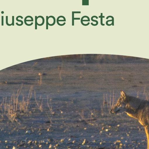 Buon compleanno Parco del Ticino! Tre eventi tematici da non perdere
