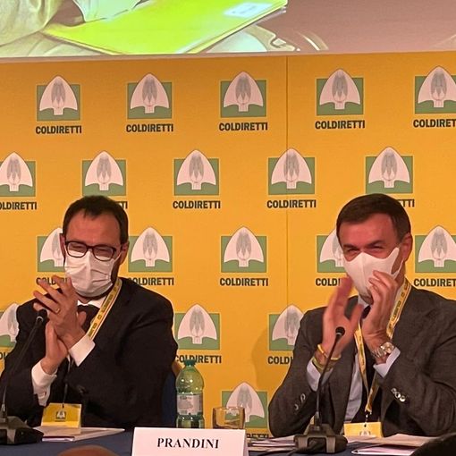 Consumi: Coldiretti, firmati decreti salva spesa, da pasta a latte