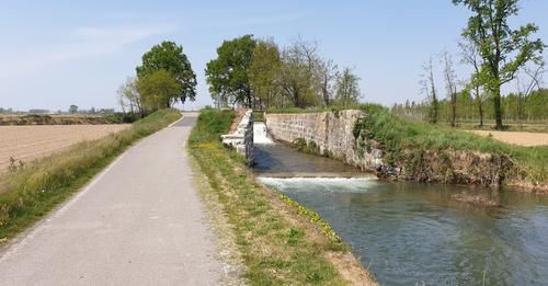 Morimondo: ciclista scambia una tenda galleggiante per un’auto nel Naviglio, allarme rientrato